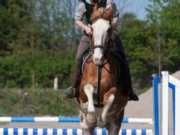 IMG_0680_web